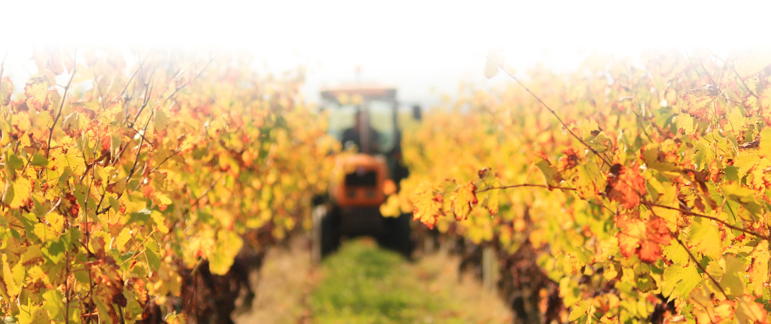 Domaine des Trottières