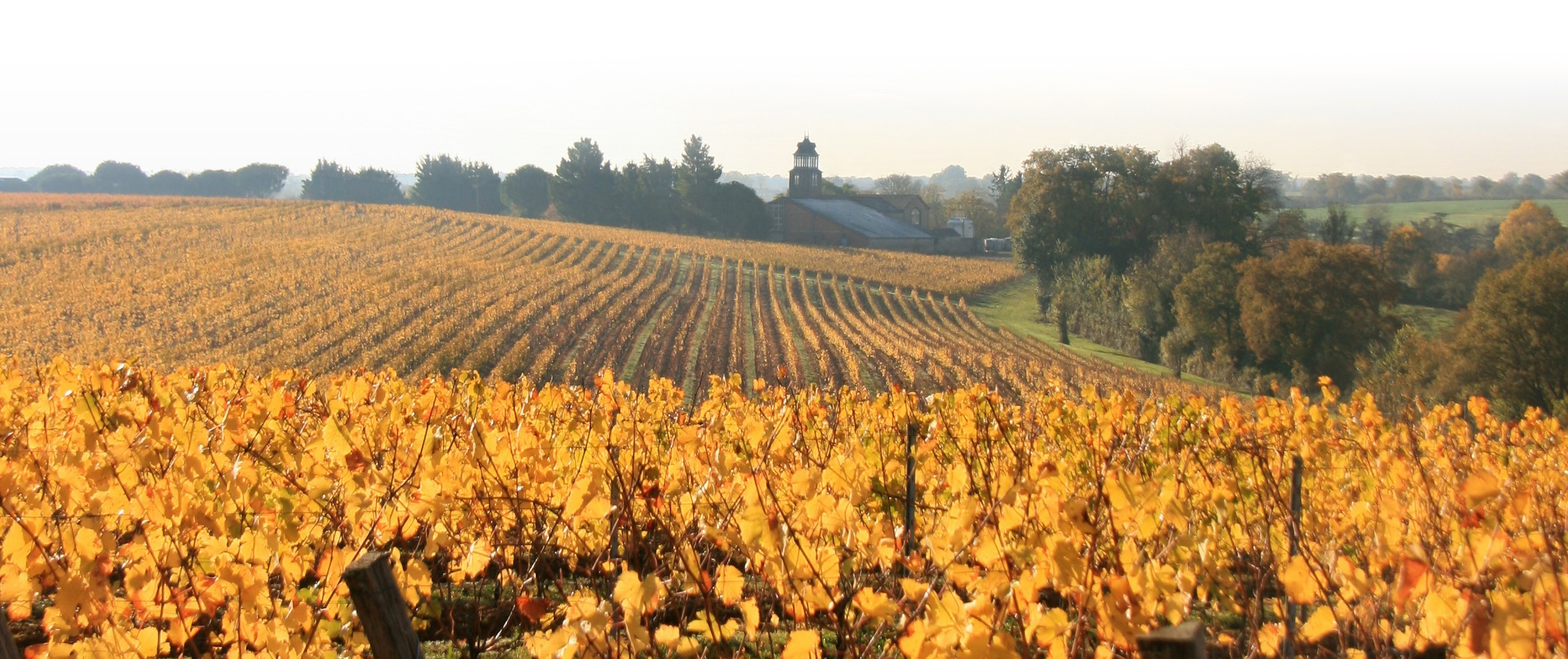 Domaine des Trottières