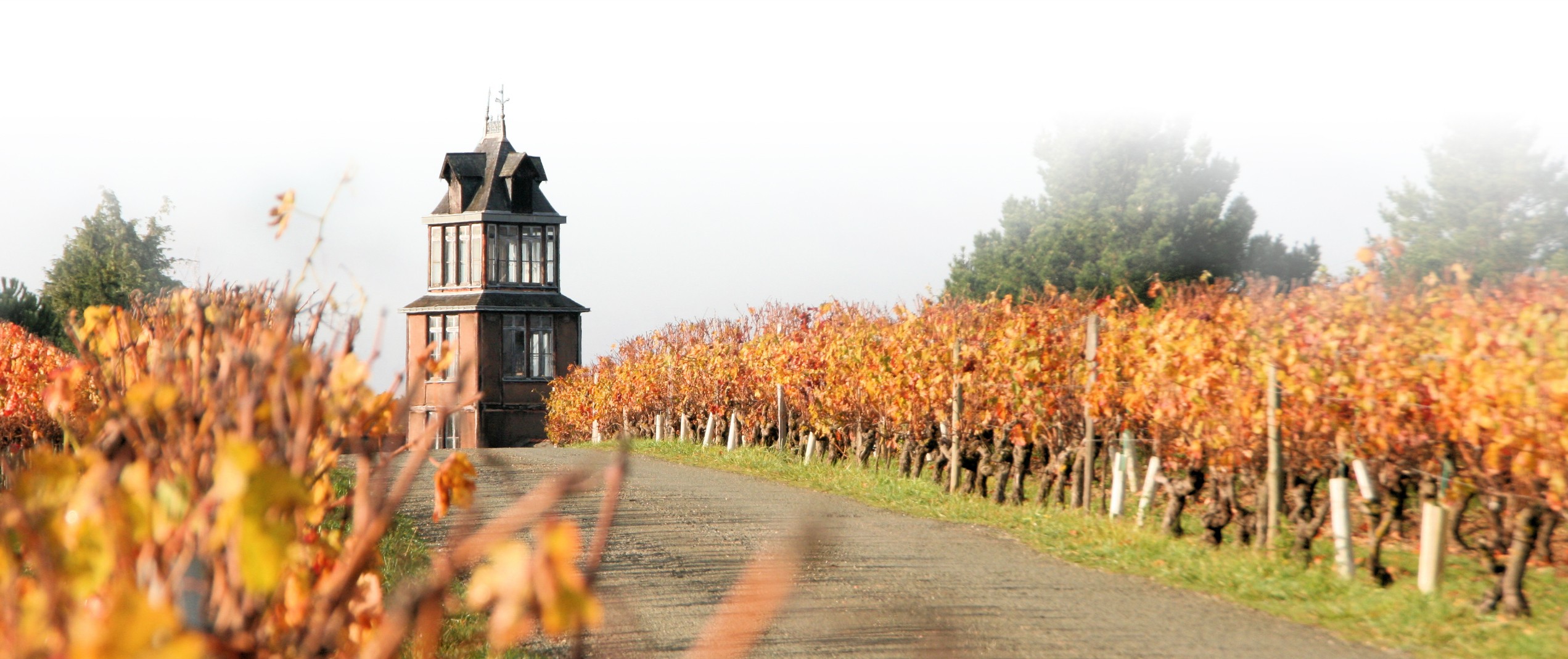 Domaine des Trottières